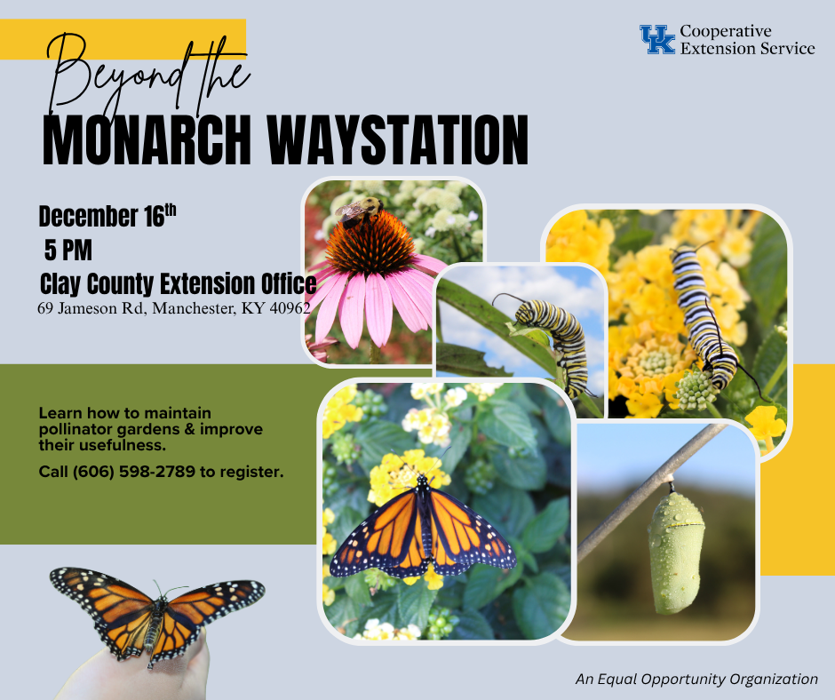 Beyond the Monarch Waystation social media post