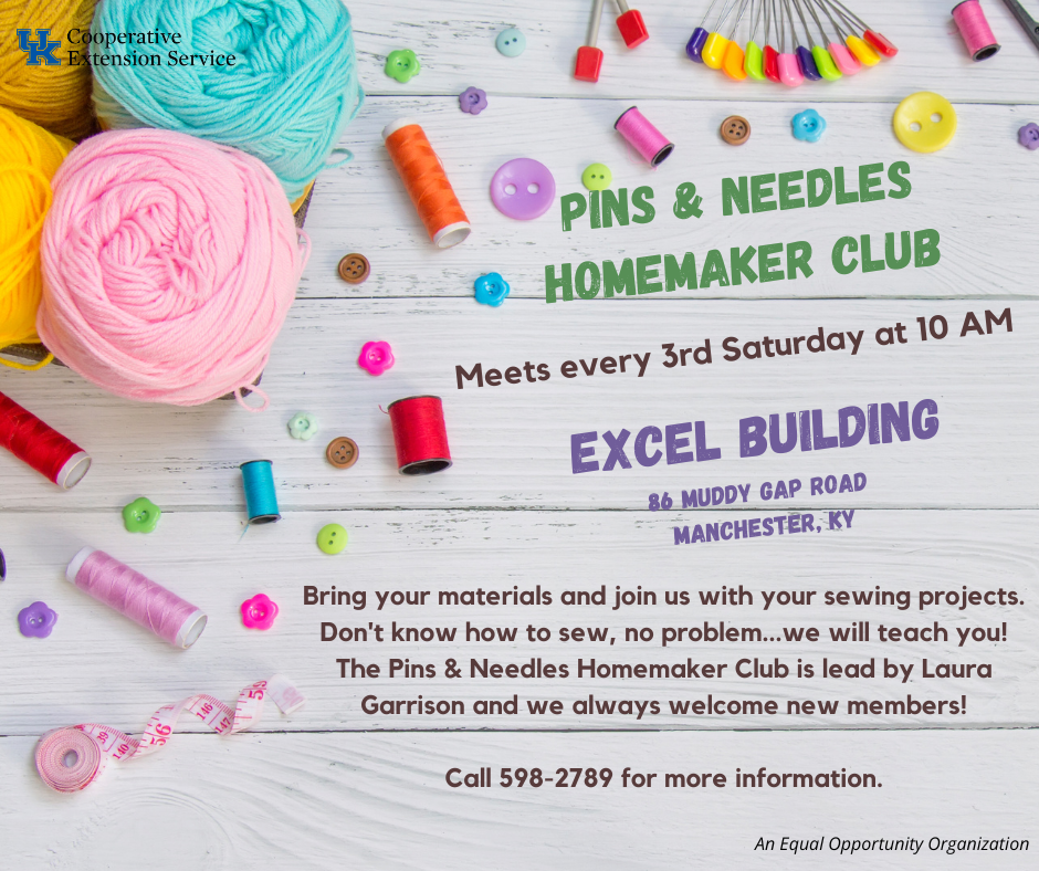 Pins & Needles Homemaker Club post